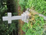 image of grave number 527539
